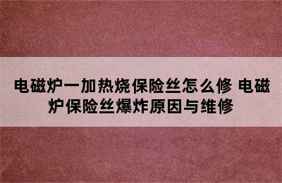 电磁炉一加热烧保险丝怎么修 电磁炉保险丝爆炸原因与维修